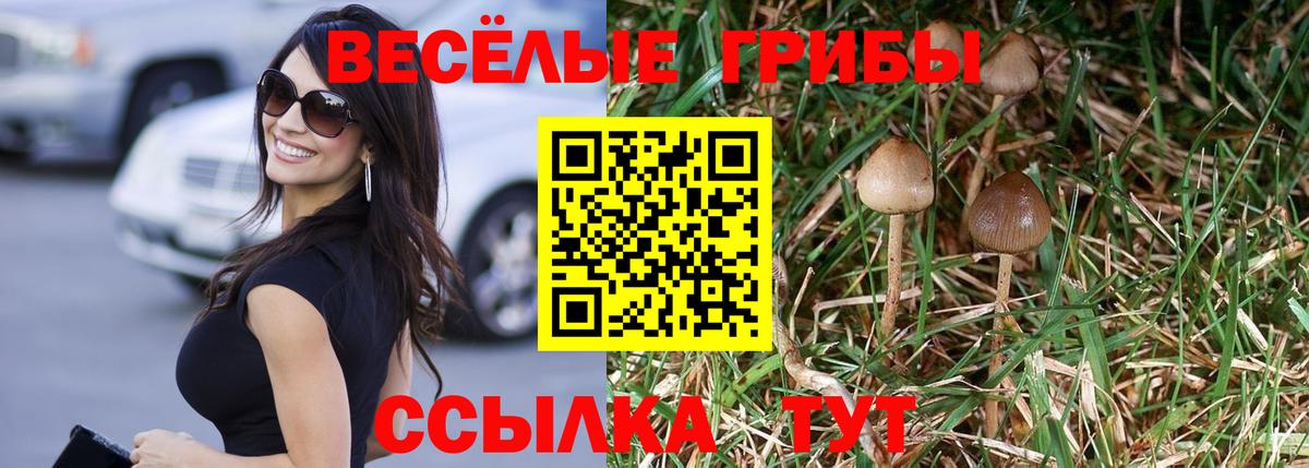 Галлюциногенные грибы MAGIC MUSHROOMS Дзержинский