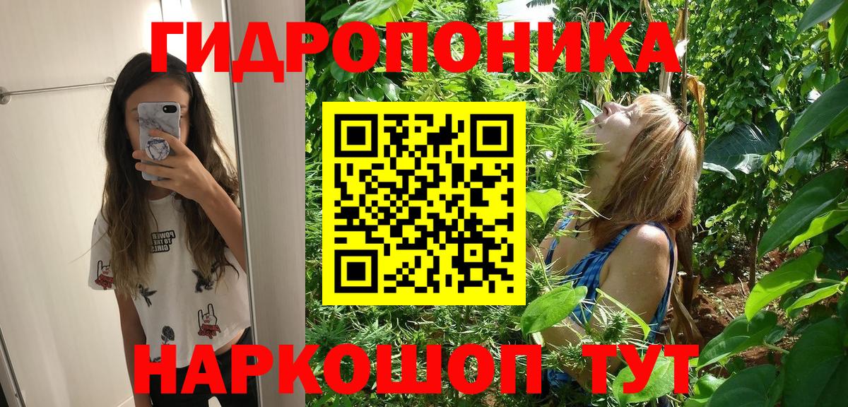 Шишки марихуана семена  Вход с VPN  Дзержинский  Бошки марихуана сатива 